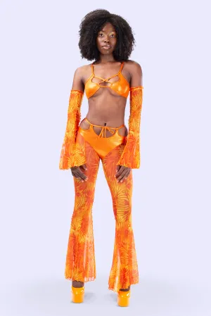 Citrine Bikini Bell Bottoms Pants Set